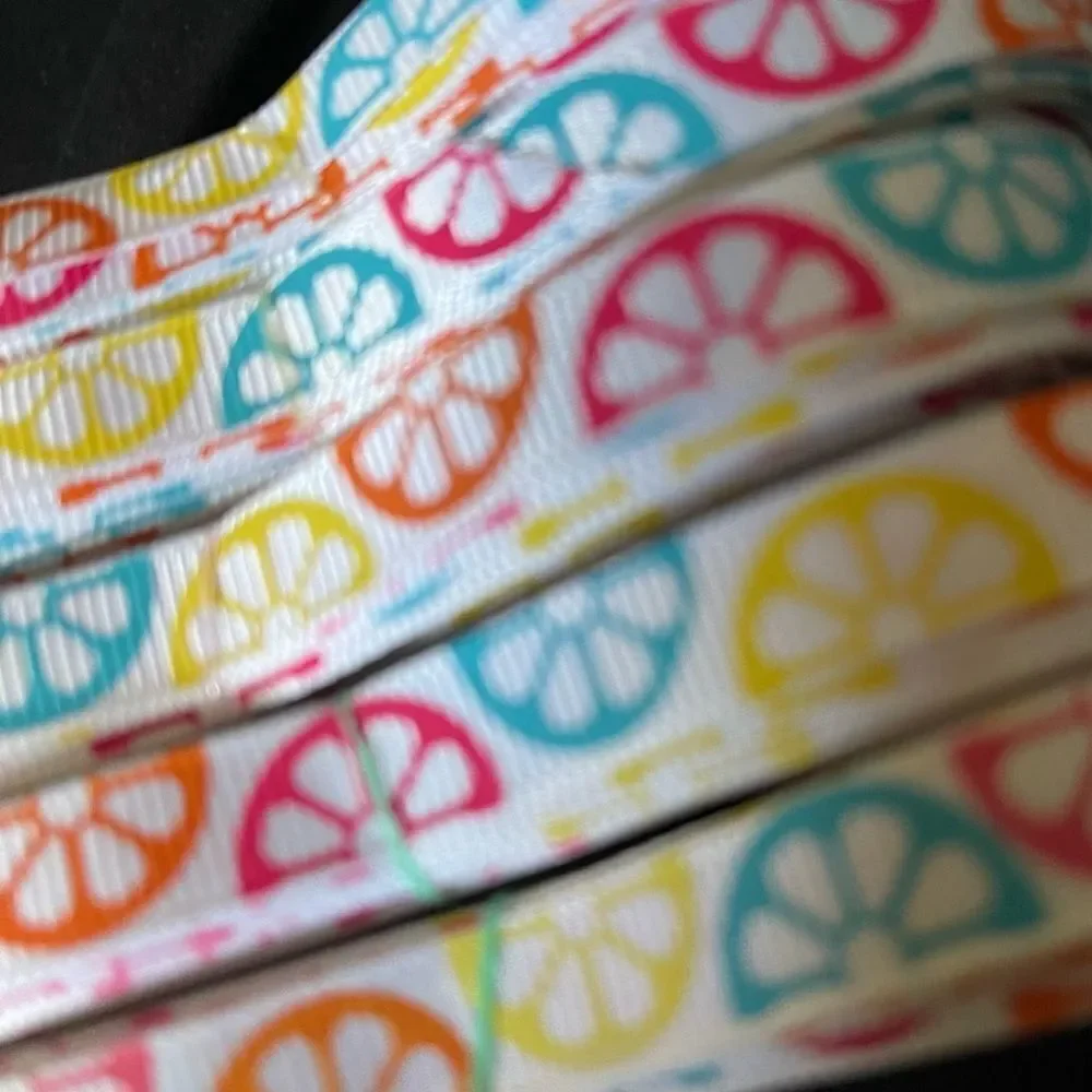 Grosgrain Ribbon 3/8” 10 yard bundle citrus fruit summer colorful shipping ship